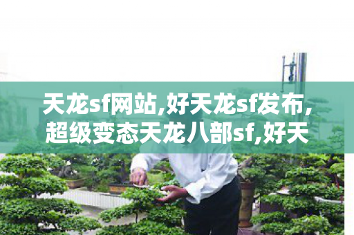 天龙sf网站,好天龙sf发布,超级变态天龙八部sf,好天龙sf发布