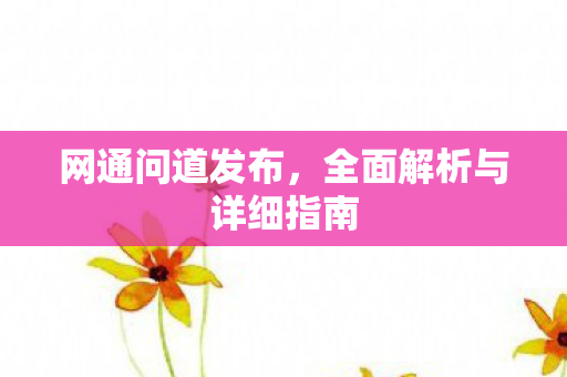网通问道发布，全面解析与详细指南