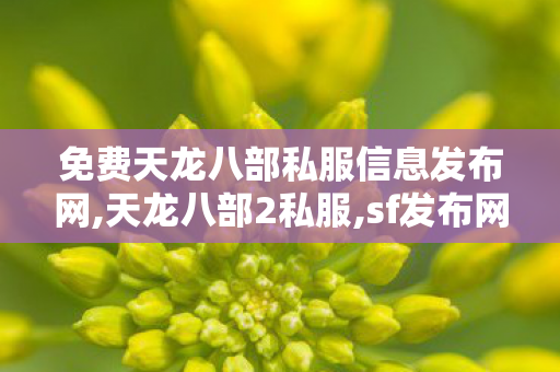 免费天龙八部私服信息发布网,天龙八部2私服,sf发布网站,天龙八部2私服