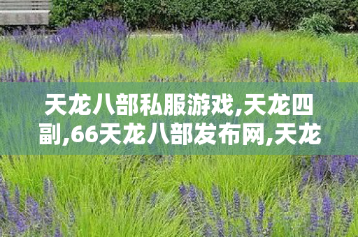 天龙八部私服游戏,天龙四副,66天龙八部发布网,天龙四副