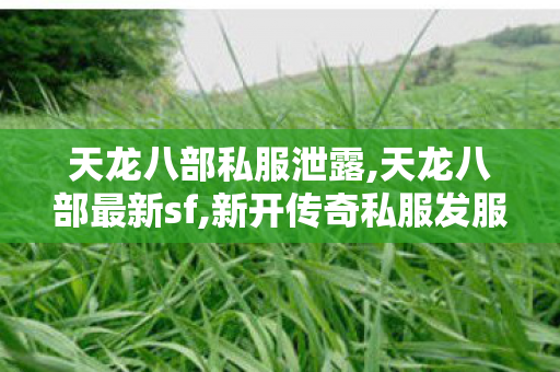 天龙八部私服泄露,天龙八部最新sf,新开传奇私服发服网,天龙八部最新sf