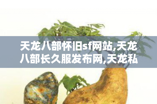 天龙八部怀旧sf网站,天龙八部长久服发布网,天龙私服发布网新开服,天龙八部长久服发布网