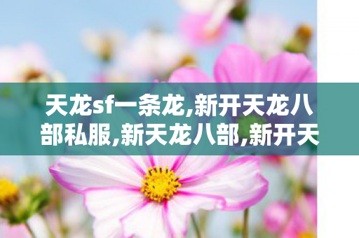 天龙sf一条龙,新开天龙八部私服,新天龙八部,新开天龙八部私服