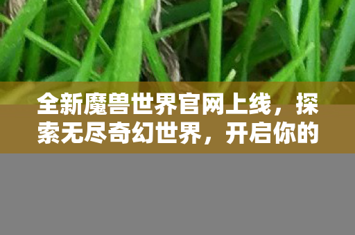 全新魔兽世界官网上线，探索无尽奇幻世界，开启你的冒险之旅！