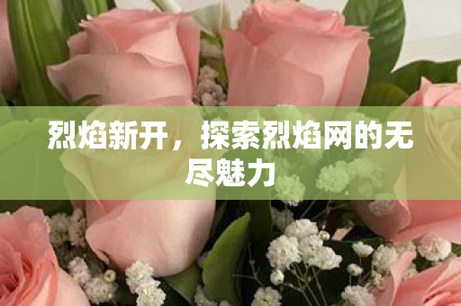 烈焰新开，探索烈焰网的无尽魅力