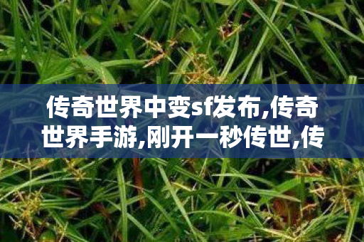 传奇世界中变sf发布,传奇世界手游,刚开一秒传世,传奇世界手游