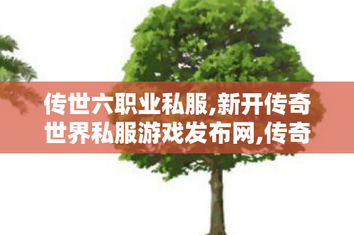 传世六职业私服,新开传奇世界私服游戏发布网,传奇世界中变私服,新开传奇世界私服游戏发布网