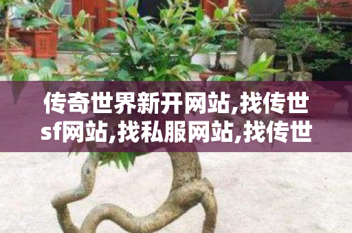 传奇世界新开网站,找传世sf网站,找私服网站,找传世sf网站