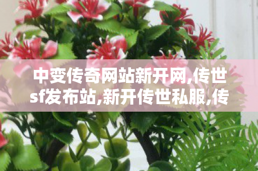 中变传奇网站新开网,传世sf发布站,新开传世私服,传世sf发布站