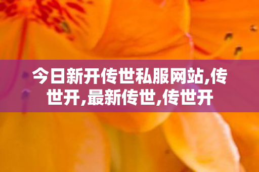 今日新开传世私服网站,传世开,最新传世,传世开