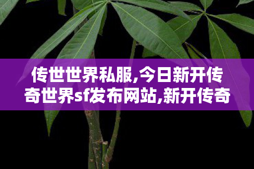 传世世界私服,今日新开传奇世界sf发布网站,新开传奇微变网站,今日新开传奇世界sf发布网站