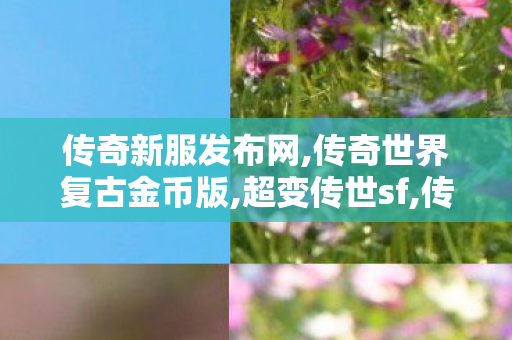 传奇新服发布网,传奇世界复古金币版,超变传世sf,传奇世界复古金币版