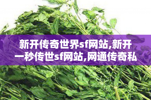 新开传奇世界sf网站,新开一秒传世sf网站,网通传奇私服网站,新开一秒传世sf网站