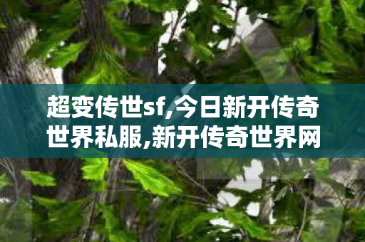 超变传世sf,今日新开传奇世界私服,新开传奇世界网站中变,今日新开传奇世界私服