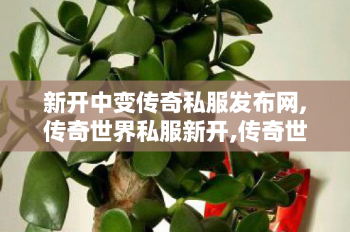 新开中变传奇私服发布网,传奇世界私服新开,传奇世界私发,传奇世界私服新开