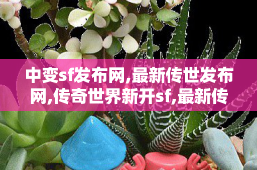 中变sf发布网,最新传世发布网,传奇世界新开sf,最新传世发布网