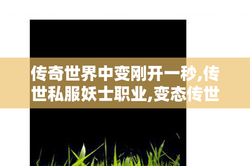 传奇世界中变刚开一秒,传世私服妖士职业,变态传世sf发布网新服,传世私服妖士职业