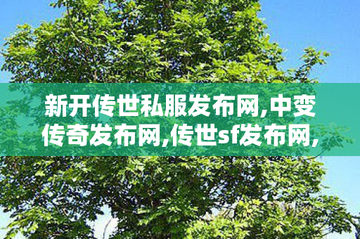新开传世私服发布网,中变传奇发布网,传世sf发布网,中变传奇发布网