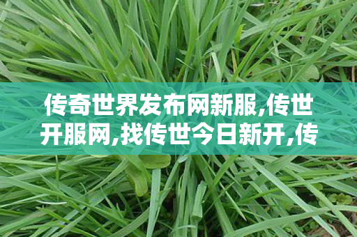 传奇世界发布网新服,传世开服网,找传世今日新开,传世开服网