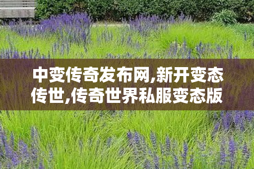 中变传奇发布网,新开变态传世,传奇世界私服变态版,新开变态传世