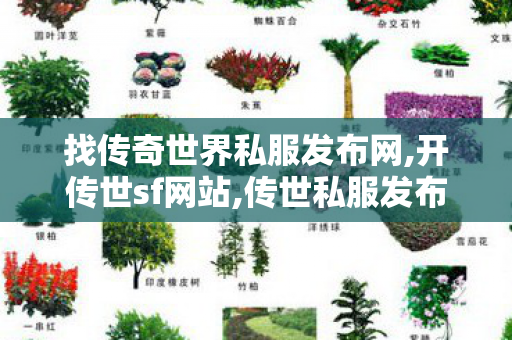 找传奇世界私服发布网,开传世sf网站,传世私服发布网新开服,开传世sf网站