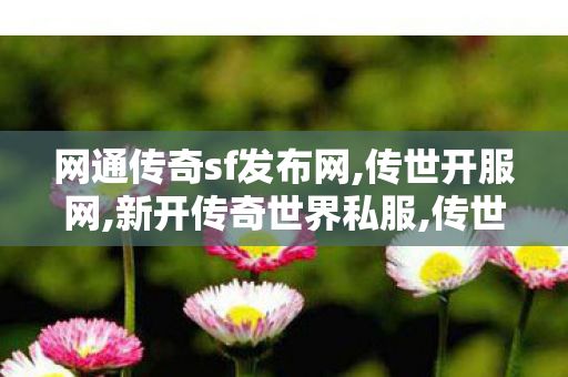 网通传奇sf发布网,传世开服网,新开传奇世界私服,传世开服网