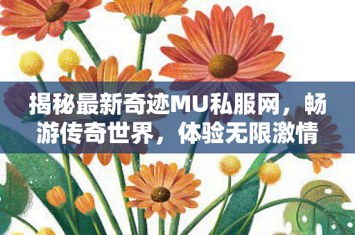 揭秘最新奇迹MU私服网，畅游传奇世界，体验无限激情