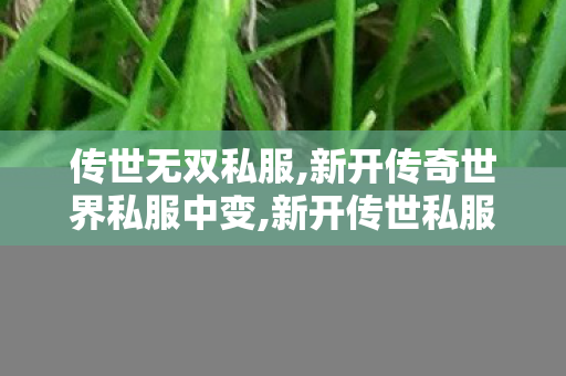 传世无双私服,新开传奇世界私服中变,新开传世私服刚开一秒,新开传奇世界私服中变