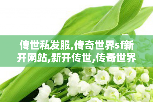 传世私发服,传奇世界sf新开网站,新开传世,传奇世界sf新开网站