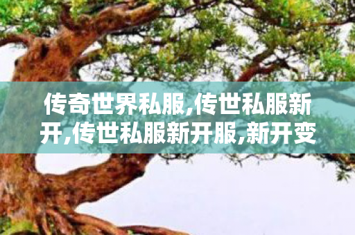 传奇世界私服,传世私服新开,传世私服新开服,新开变态传世私服,传世私服新开服