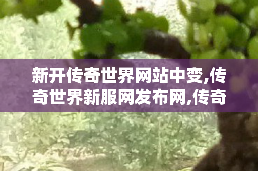 新开传奇世界网站中变,传奇世界新服网发布网,传奇私 服网站,传奇世界新服网发布网