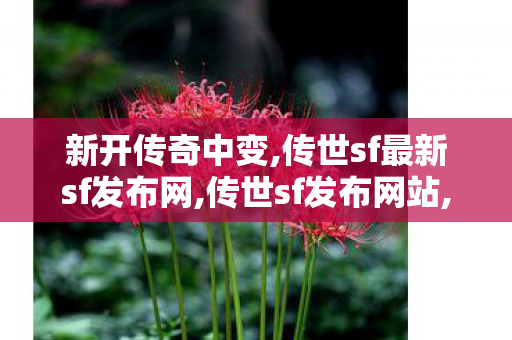新开传奇中变,传世sf最新sf发布网,传世sf发布网站,传世sf最新sf发布网