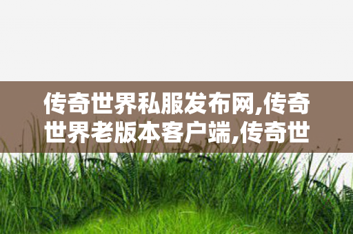 传奇世界私服发布网,传奇世界老版本客户端,传奇世界复古有元神,传奇世界老版本客户端