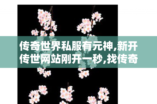 传奇世界私服有元神,新开传世网站刚开一秒,找传奇世界私服发布网站,新开传世网站刚开一秒