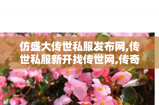 仿盛大传世私服发布网,传世私服新开找传世网,传奇世界私服登陆器,传世私服新开找传世网