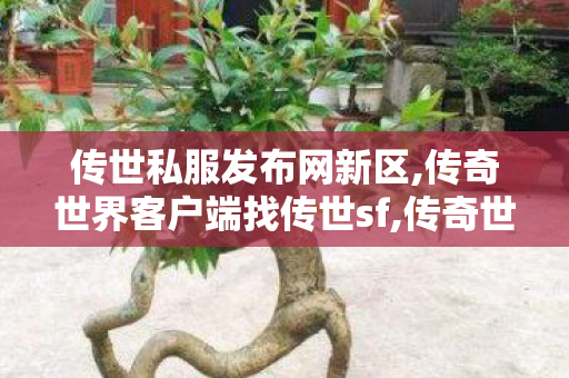传世私服发布网新区,传奇世界客户端	找传世sf,传奇世界私服最新发布网,传奇世界客户端	找传世sf