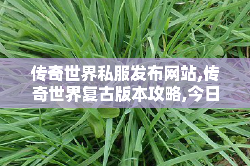 传奇世界私服发布网站,传奇世界复古版本攻略,今日新开传世私服,传奇世界复古版本攻略
