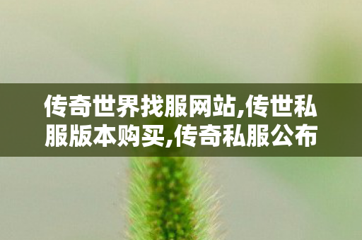 传奇世界找服网站,传世私服版本购买,传奇私服公布网,传世私服版本购买