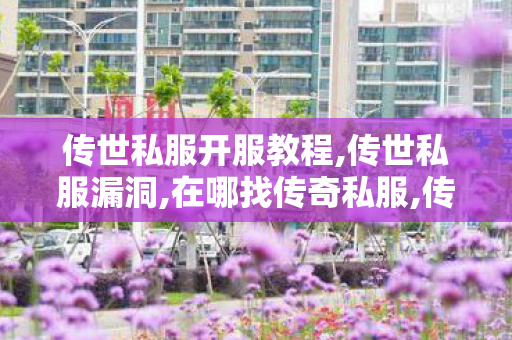传世私服开服教程,传世私服漏洞,在哪找传奇私服,传世私服漏洞