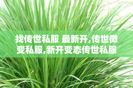 找传世私服 最新开,传世微变私服,新开变态传世私服网,传世微变私服