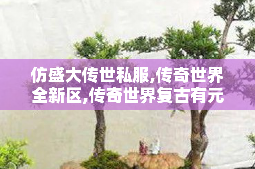 仿盛大传世私服,传奇世界全新区,传奇世界复古有元神,传奇世界全新区
