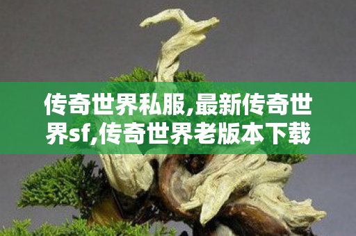 传奇世界私服,最新传奇世界sf,传奇世界老版本下载,怀旧传奇世界私服,传奇世界老版本下载