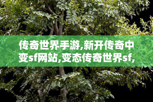 传奇世界手游,新开传奇中变sf网站,变态传奇世界sf,新开传奇中变sf网站