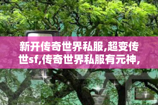 新开传奇世界私服,超变传世sf,传奇世界私服有元神,超变传世sf