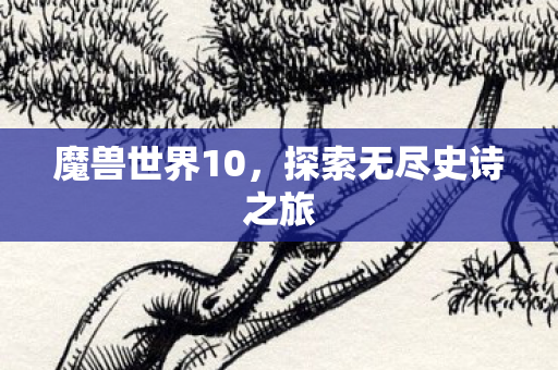 魔兽世界10，探索无尽史诗之旅