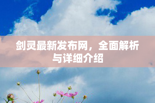 剑灵最新发布网，全面解析与详细介绍