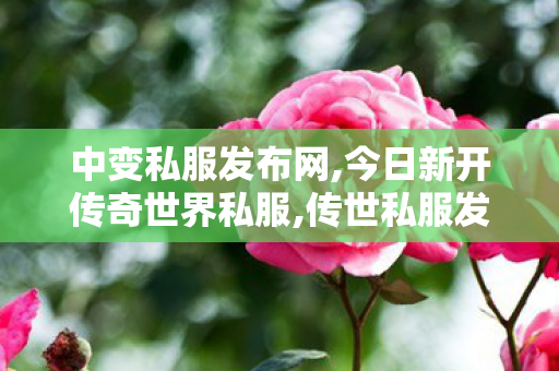 中变私服发布网,今日新开传奇世界私服,传世私服发布网址,今日新开传奇世界私服
