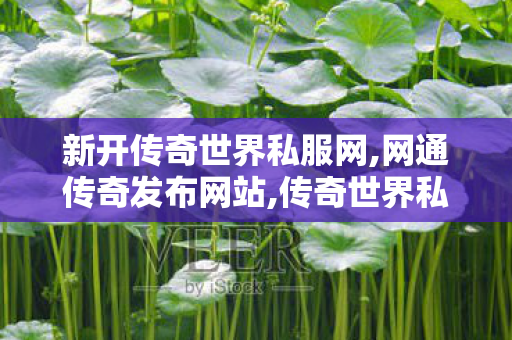 新开传奇世界私服网,网通传奇发布网站,传奇世界私服发布网,网通传奇发布网站