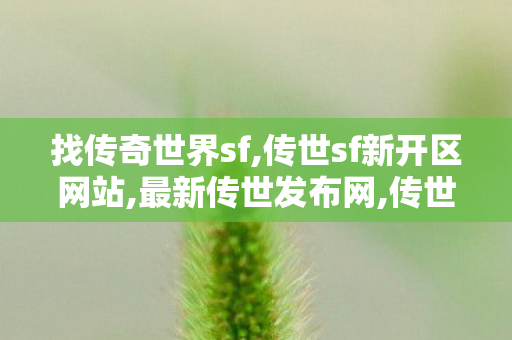 找传奇世界sf,传世sf新开区网站,最新传世发布网,传世sf新开区网站
