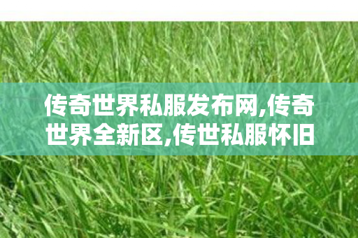 传奇世界私服发布网,传奇世界全新区,传世私服怀旧,传奇世界全新区